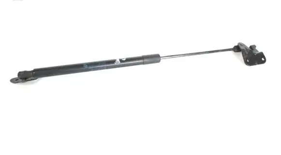 BMW X1 E84 Tailgate/trunk strut/damper 753334 2990136