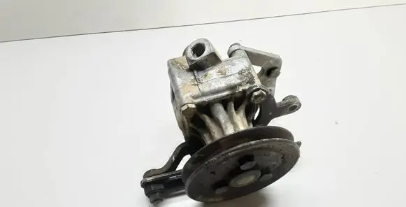 BMW 5 E34 Power steering pump 1133386