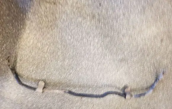 Volkswagen PASSAT CC Front anti-roll bar/sway bar