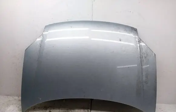 Engine bonnet/hood