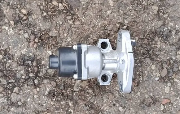 Renault Clio V EGR valve