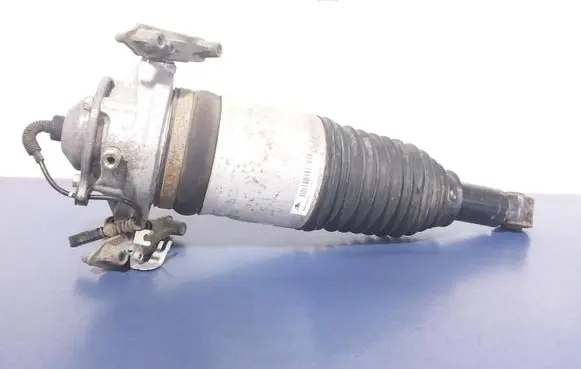 Porsche Cayenne (92A) Rear shock absorber/damper 7P5616020AB