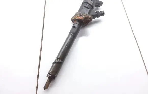 Peugeot 207 Fuel injector 0445110297