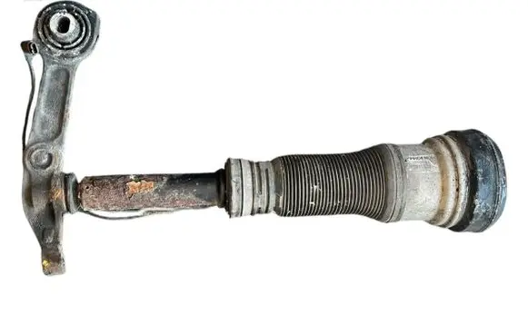 Mercedes-Benz S W220 Air suspension front shock absorber C086053J 010301006608