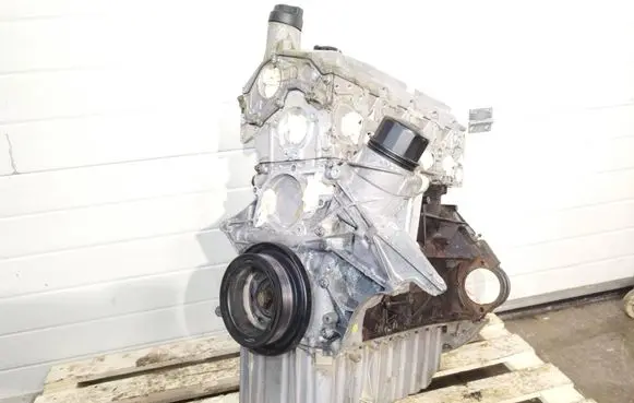 Mercedes-Benz Sprinter W906 Engine 646986