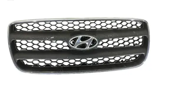 Hyundai Santa Fe Front grill 865612B000