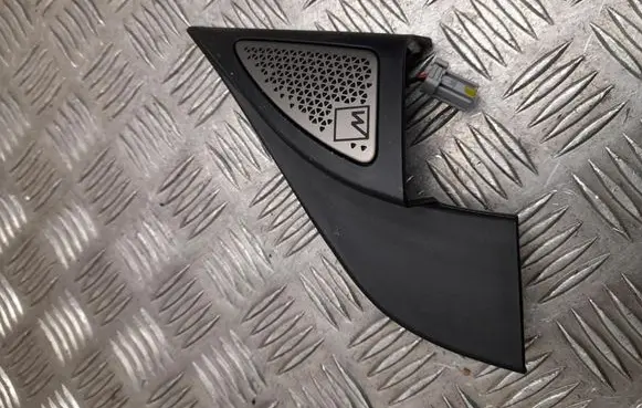 Front door high frequency speaker