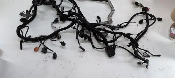 Engine installation wiring loom