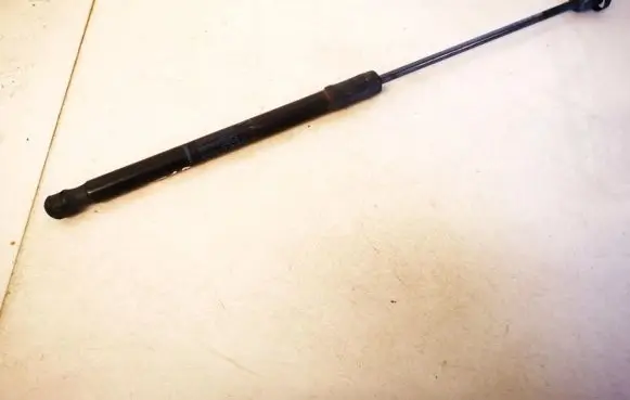 Renault Megane III Tailgate/trunk strut/damper 844300009r