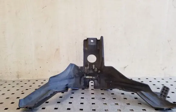 Engine bonnet/hood lock trim molding