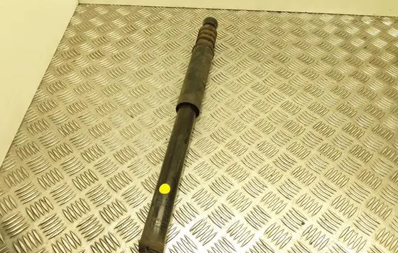 Dacia Sandero Rear shock absorber/damper 562103901R