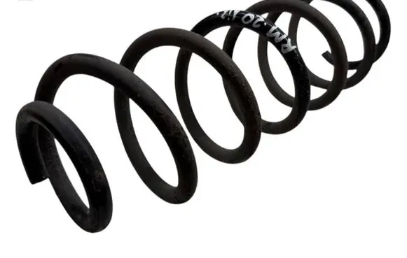 Rear coil spring