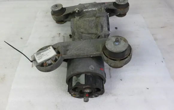 Renault Scenic I Rear differential J641340041