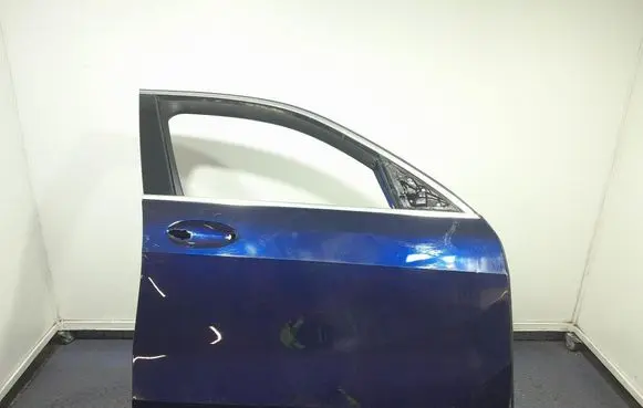 BMW X7 G07 Front door 