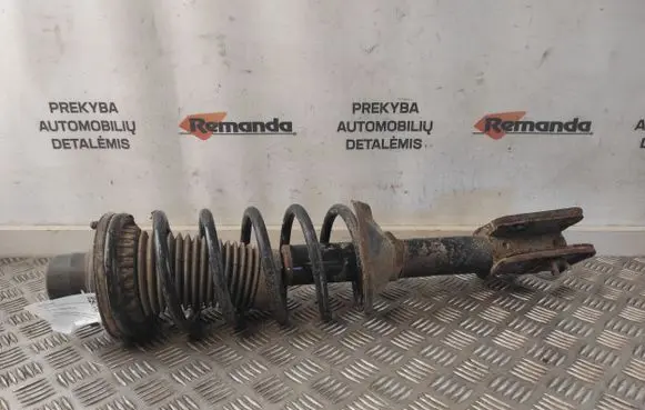 Land Rover Freelander Rear shock absorber with coil spring 22190457
