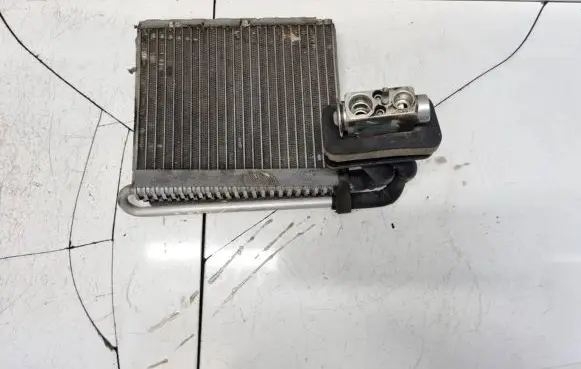 Ford C-MAX II Heater blower radiator AV6N19849AB AV6N-19849-AB