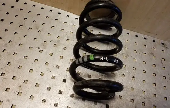 Front coil spring