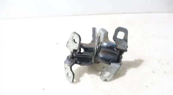Dacia Logan II Rear door hinge set 