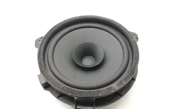 Rear door speaker