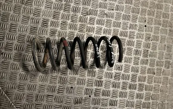 Ford S-MAX Rear coil spring 