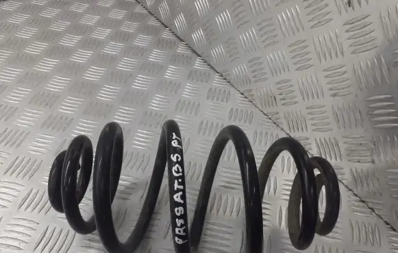 Volkswagen PASSAT B5.5 Rear coil spring