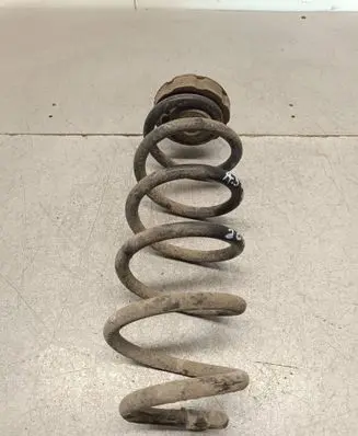 Rear coil spring
