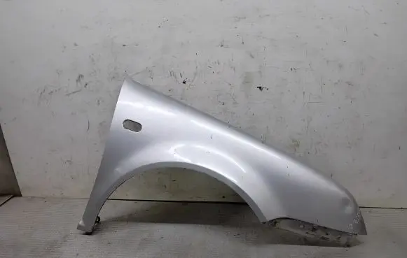 Volkswagen Jetta IV Fender