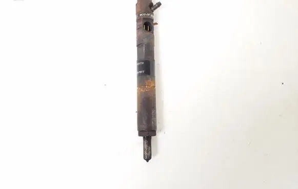 Renault Kangoo II Fuel injector 166001137R