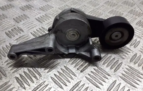 Volkswagen PASSAT B6 Alternator belt tensioner pulley 03G903315
