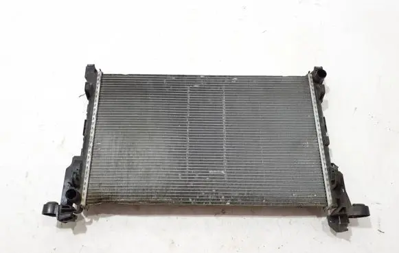 Renault Trafic III (X82) Coolant radiator 214103569R