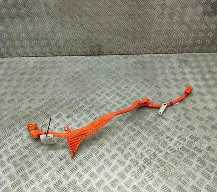 Lexus RX 450H Other wiring loom 821H242030A