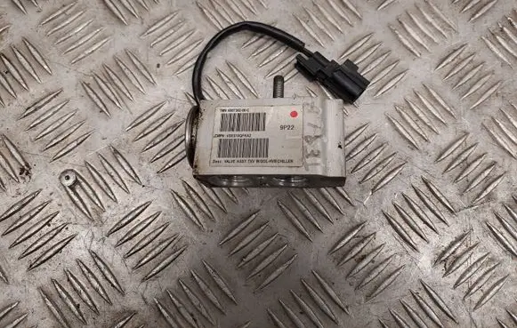 Tesla Model S Air conditioning (A/C) expansion valve 600736200C