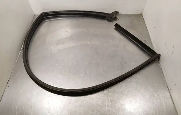 Renault Avantime Front door rubber seal 