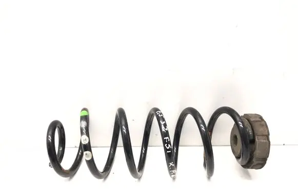 Rear coil spring
