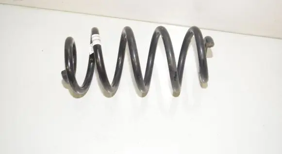 Rear coil spring