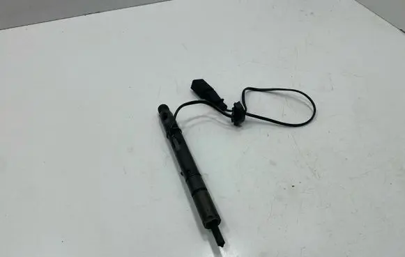 Volkswagen PASSAT B5.5 Fuel injector 0591302020