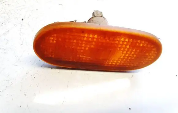 Front fender indicator light