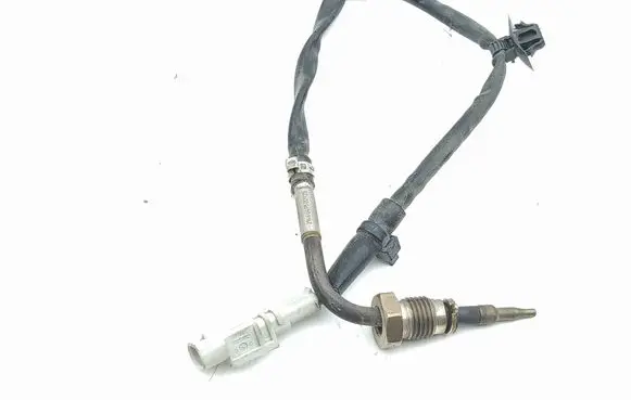 Hyundai Kona I Exhaust gas temperature sensor 39230070S1