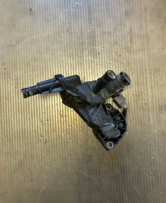 Thermostat/thermostat housing