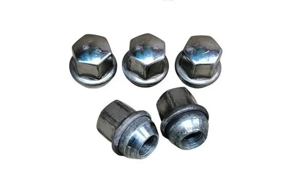 Dodge Challenger Nuts/bolts 