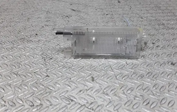 Renault Laguna II Front door interior light 