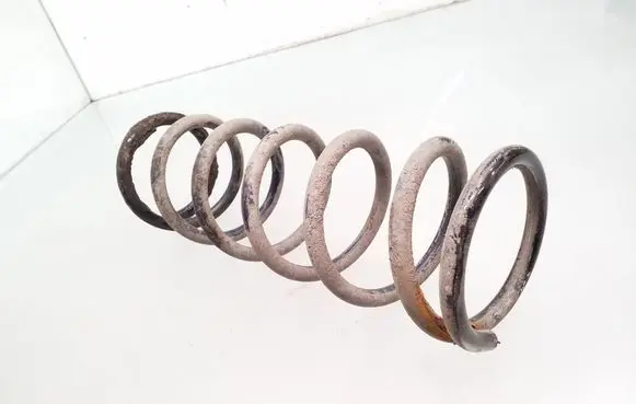 Rear coil spring