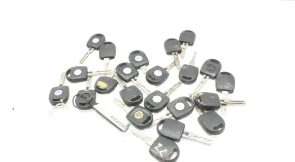 Volkswagen Golf IV Ignition key/card 22VNT
