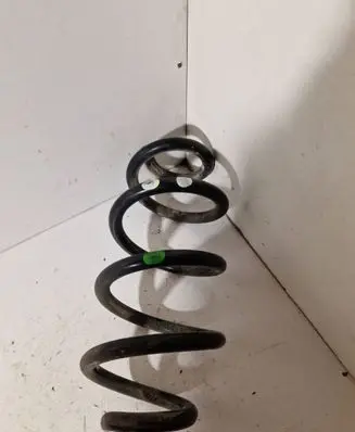 Rear coil spring