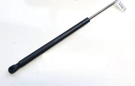 Tailgate/trunk strut/damper