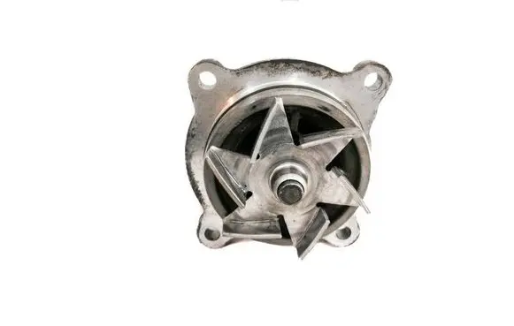Land Rover Range Rover Sport L320 Water pump 6H408501DG