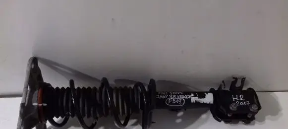 Fiat 500X Rear shock absorber with coil spring 00520258440