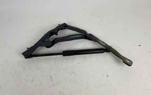 Tesla Model 3 Engine bonnet/hood hinges 