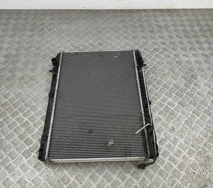 KIA Carnival Coolant radiator 253104D300