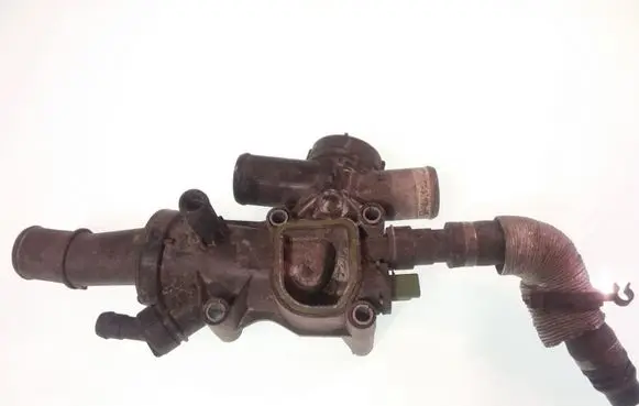 Thermostat/thermostat housing
